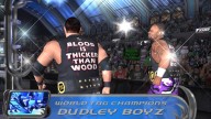 HereComesThePain BubbaRayDudley DVonDudley 3