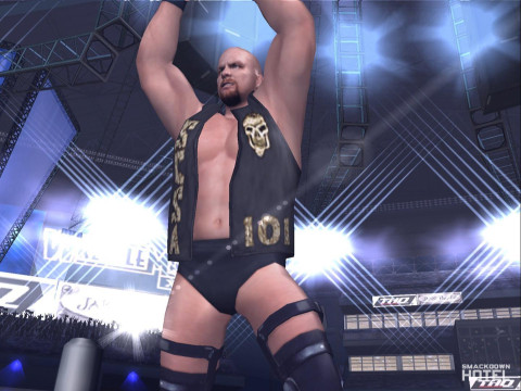HereComesThePain StoneCold SteveAustin 3 HereComesThePain StoneCold SteveAustin 3