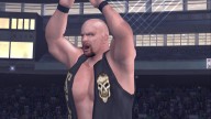 HereComesThePain StoneCold SteveAustin 4