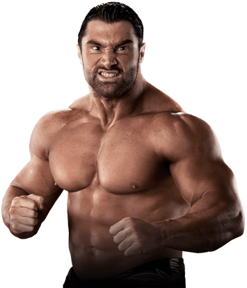 Résultat de recherche d'images pour "mason ryan wwe 12"