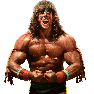WWE2K15 Render UltimateWarrior