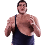 WWE2K15 Render AndreTheGiant