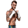 WWE2K15 Render CMPunk