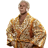 WWE2K15 Render RicFlair