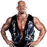 WWE2K15 Render SteveAustin