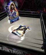 Supercard WM33 HallOfFame