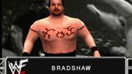 SmackDown Bradshaw 3
