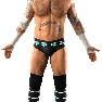 SvR2011 Render CMPunkDLC