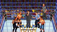 Wrestlefest Cage1