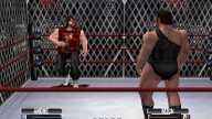 NoMercy AndreTheGiant MickFoley 6