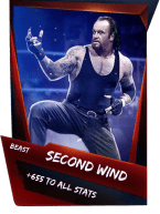 SuperCard Support SecondWind S4 16 Beast