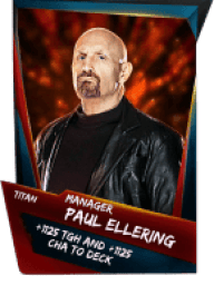 Paul Ellering (Manager)