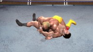 LOW 008 HulkHogan AndreTheGiant 8