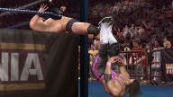 LOW BretHart SteveAustin
