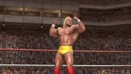 LOW HulkHogan 5