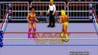 WWF RoyalRumble 1993 HulkHogan TheModel