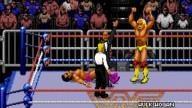 WWF RoyalRumble 1993 HulkHogan TheModel 3