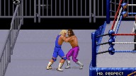 WWF RoyalRumble 1993 RandySavage MrPerfect