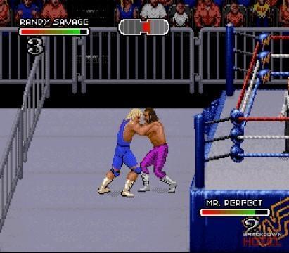 WWF RoyalRumble 1993 RandySavage MrPerfect