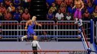 WWF RoyalRumble 1993 RandySavage MrPerfect 2