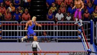 WWF RoyalRumble 1993 RandySavage MrPerfect 2