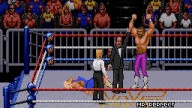 WWF RoyalRumble 1993 RandySavage MrPerfect 4