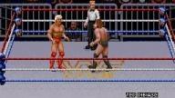 WWF RoyalRumble 1993 RicFlair TedDibiase