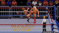 WWF RoyalRumble 1993 RicFlair TedDibiase 2