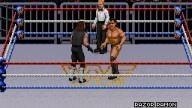 WWF RoyalRumble 1993 Undertaker RazorRamon