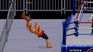 WWF RoyalRumble 1993 Yokozuna Tatanka 2