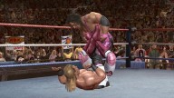 LOW ShawnMichaels BretHart 4