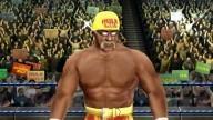 WrestleManiaXIX HulkHogan 3