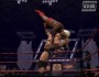 Raw2 BrockLesnar RicFlair