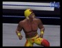 Raw2 HulkHogan