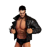 WWEChampions Render FinnBalor