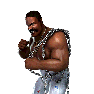 WWEChampions Render JunkyardDog