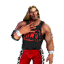 WWEChampions Render KevinNashWolfpac