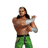 WWEChampions Render MattHardy
