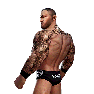WWEChampions Render RandyOrton