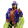 WWEChampions Render RandySavageM