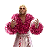 WWEChampions Render RicFlair