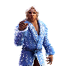 WWEChampions Render RicFlairSr