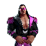 WWEChampions Render BretHart