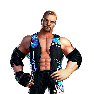 WWEChampions Render DiamondDallasPage