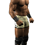 SvR2010 Render SheltonBenjamin