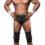 SvR2010 Render TedDiBiaseJr