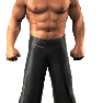 SvR2010 Render TheGreatKhali