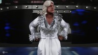 WWE2K19 RicFlair88