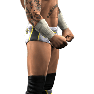 SvR2010 Render CMPunk