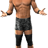 SvR2010 Render DolphZiggler
